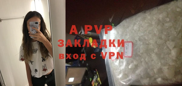 дурь Бородино
